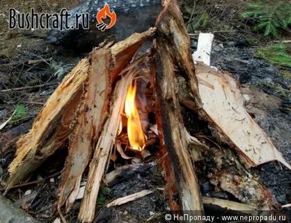 Как разжечь сырые дрова