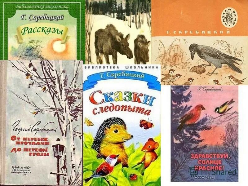 Скребицкий произведения 2 класс. Произведения г Скребицкого.