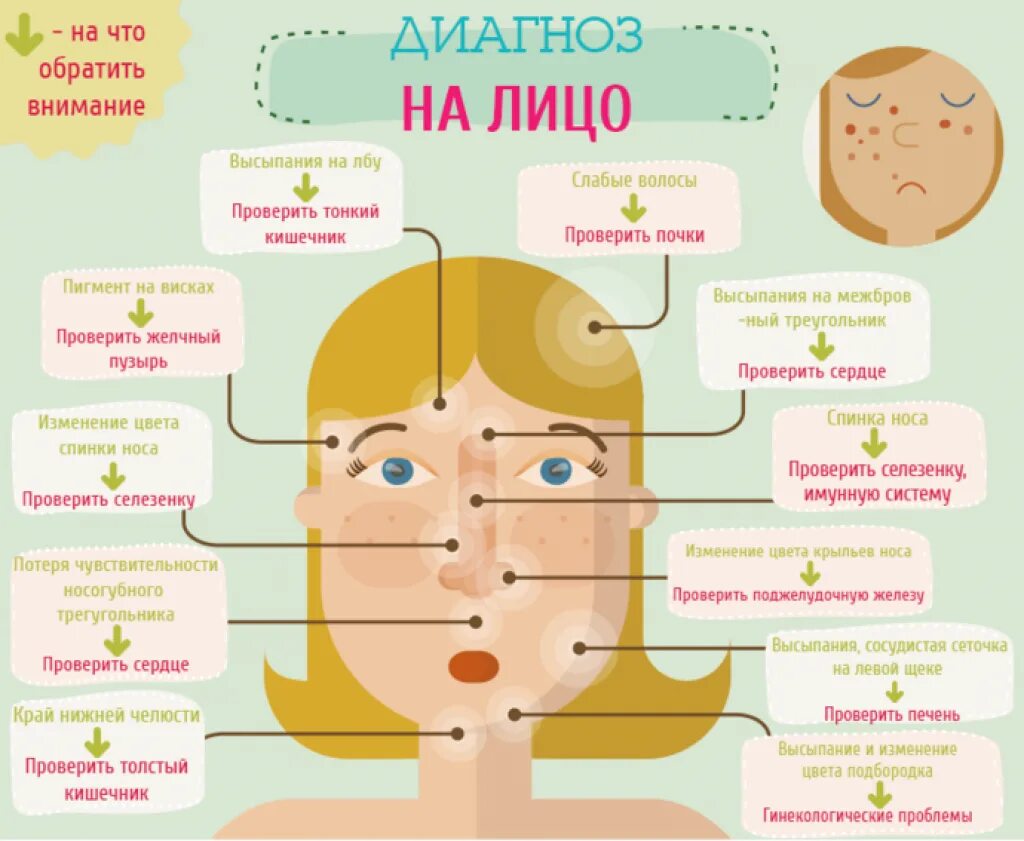 Почему прыщи на лбу у женщин. Схема прыщей на лице. прыщики на лице зоны.