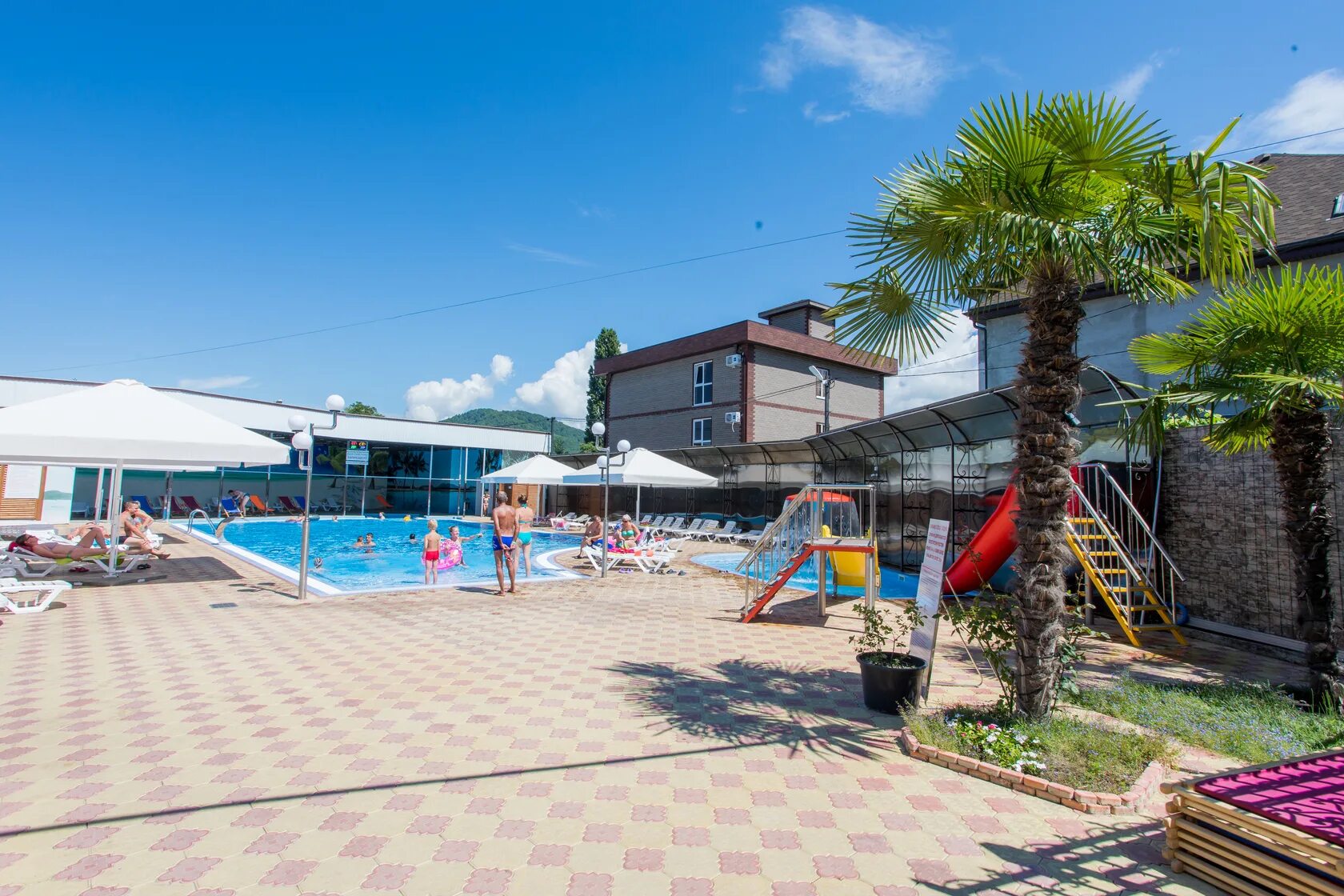 Отель головинка сочи. Гостевой дом ассоль головинка 2022. Гостиница греция сочи головинка. Отель греция сочи головинка. Головинка сочи камбала.