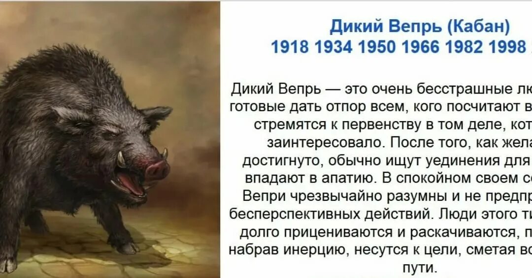 Дикий кабан характер. Славянский календарь дикий Вепрь характеристика. Дикий Вепрь кабан Славянский гороскоп. Славянский тотемный гороскоп Вепрь дикий. Славянский гороскоп по годам дикий Вепрь.