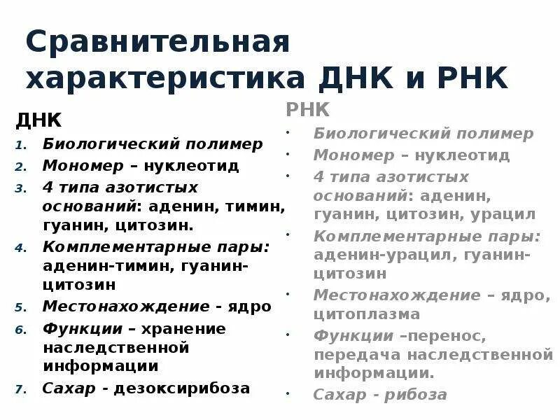 Функции ДНК И РНК таблица 10 класс. Сравнительная таблица ДНК И РНК 10 класс. Сравните строение и функции ДНК И РНК. Сравнительная характеристика ДНК И РНК. Сравнить днк и рнк