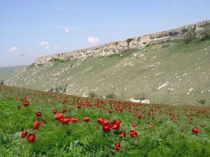 Красная балка