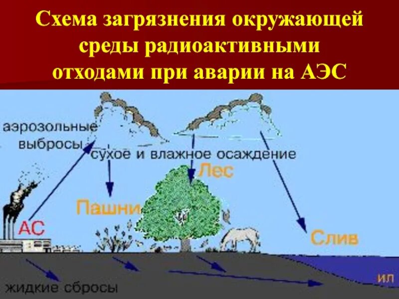 Загрязнение окружающей среды схемы. Радиоактивное заражение окружающей среды. Схема загрязнения окружающей. Загрязнение окружающей среды схема. Последствия радиоактивного загрязнения.