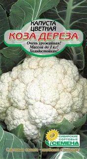 Цветная капуста сорт коза дереза