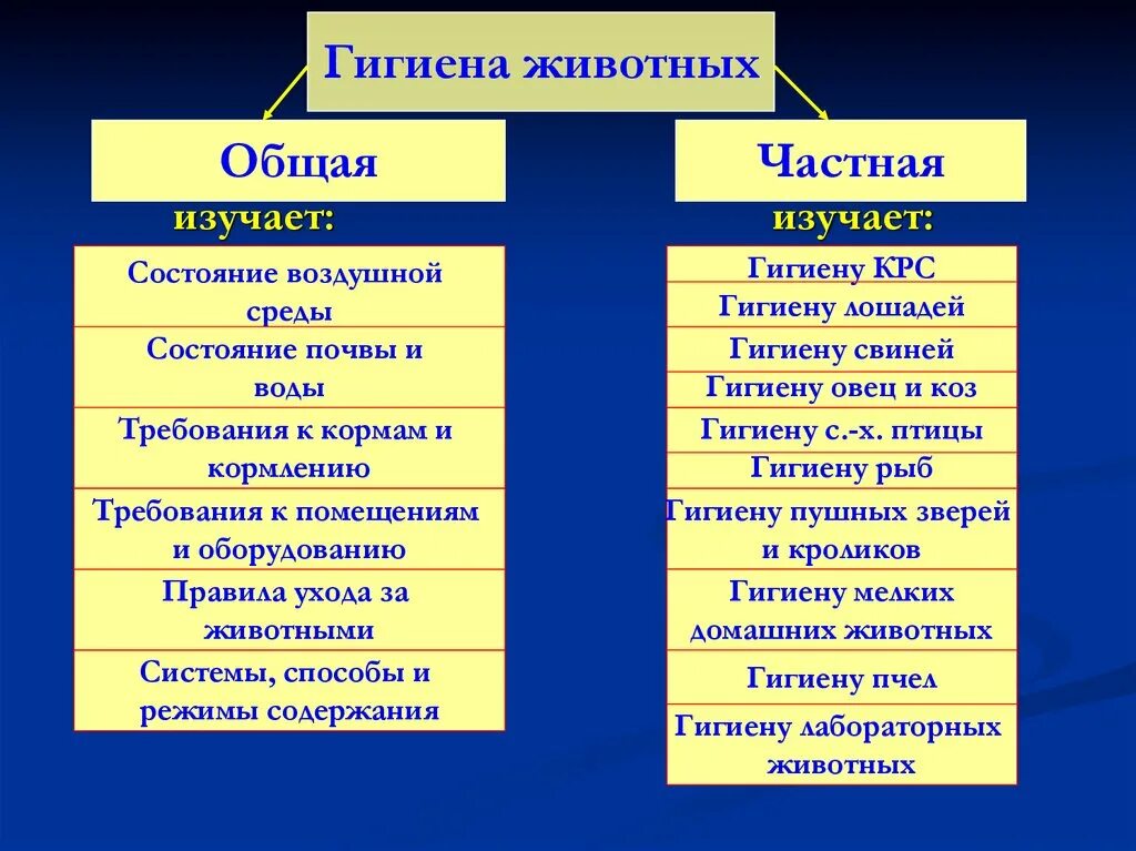 Гигиена содержания животных. Методы исследования в зоогигиене. гигиена животных (зоогигиена). значение гигиены в условиях современного животноводства. основные методы зоогигиенических исследований.