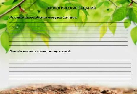 Экологические задания