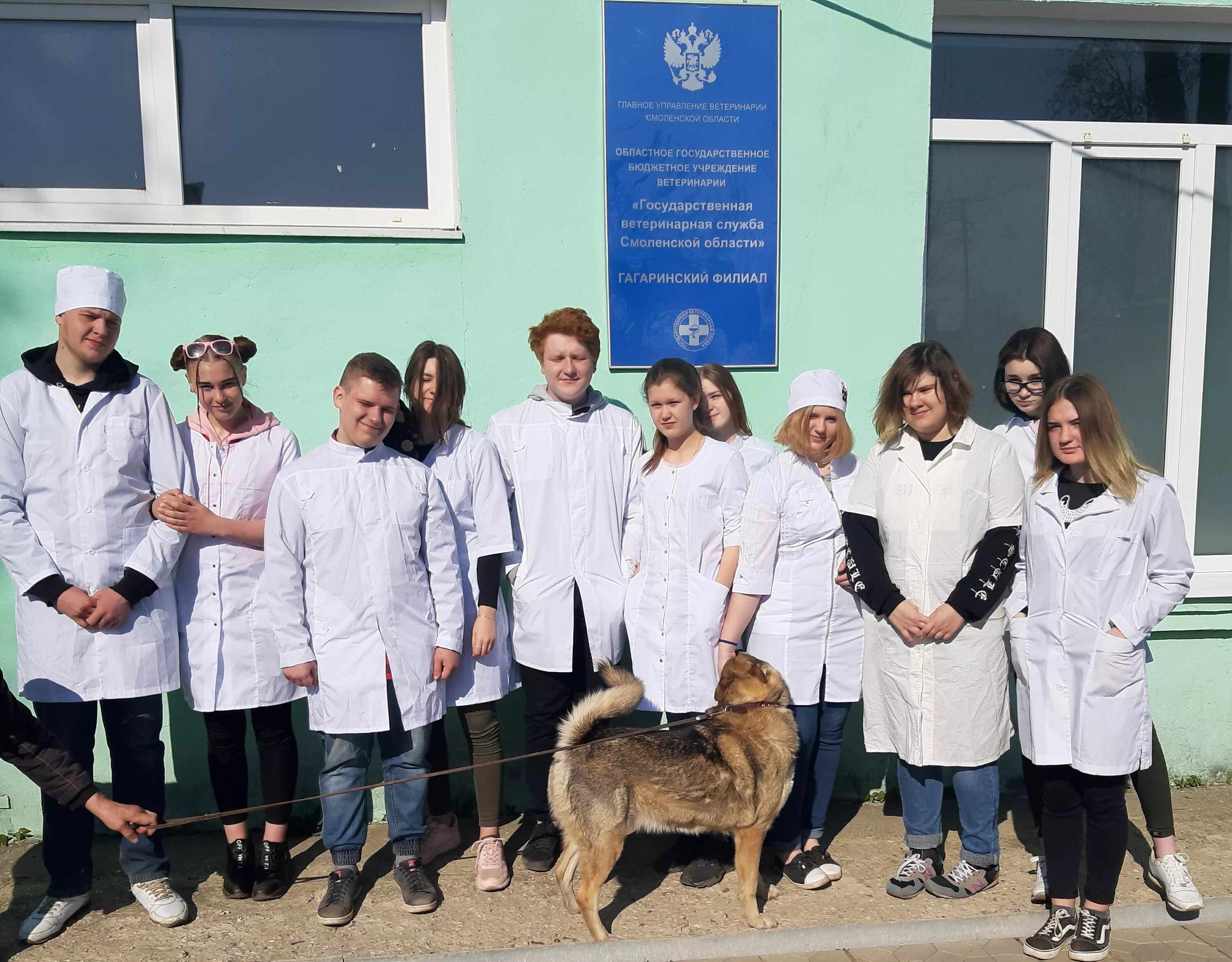 Гагаринский филиал ОГБУВ Госветслужба. Гагаринский зооветеринарный техникум Смоленской области. Гагаринский ветеринарный колледж. Госветслужба смоленск