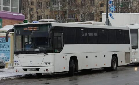 Автобус 339