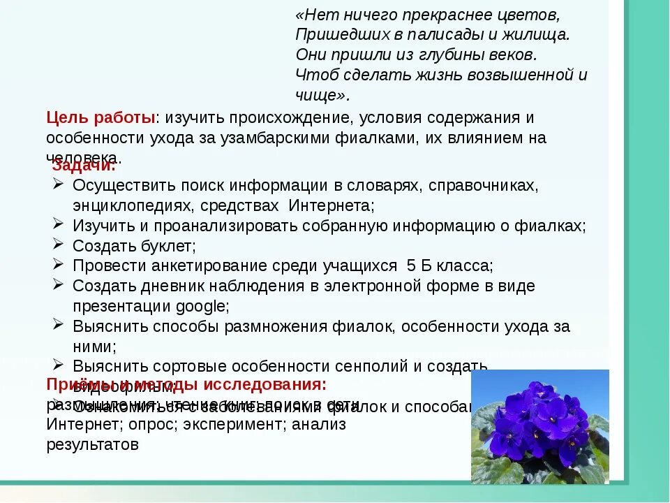 Пармские фиалки описание. Лист наблюдений за фиалкой. Дневник наблюдения за фиалкой. Дневник наблюдения за черенком фиалки. Процесс роста фиалки.