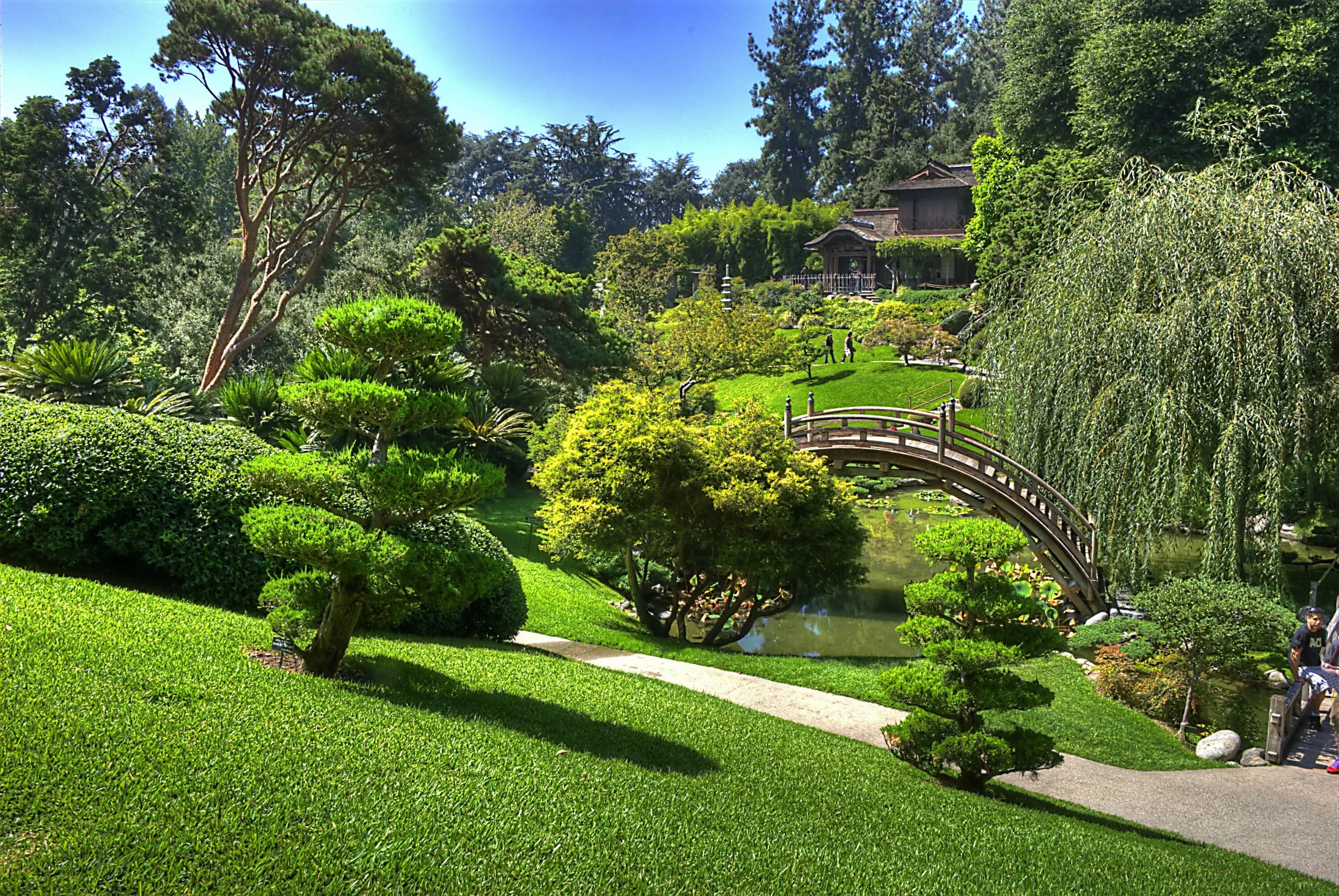 Петер Хесселс ландшафтный Архитектор. Коичи Курису ландшафтный дизайнер его сады. Холмистый сад Япония. Хелен парк+ ландшафт. Название природного ландшафта
