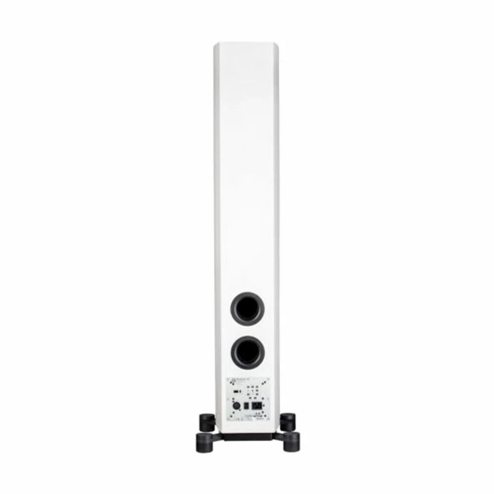 Акустика system audio sa legend 5. System audio sa legend. Evm акустические системы. System audio legend 5 silverback. System audio sa legend 40.