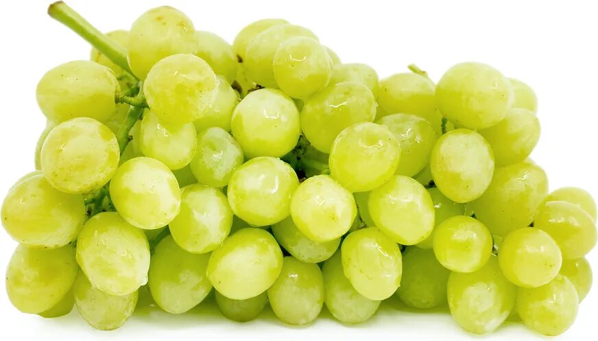 Grape 1. Seedless grapes виноград. green seedless grapes. виноград на белом фоне. виноград один.