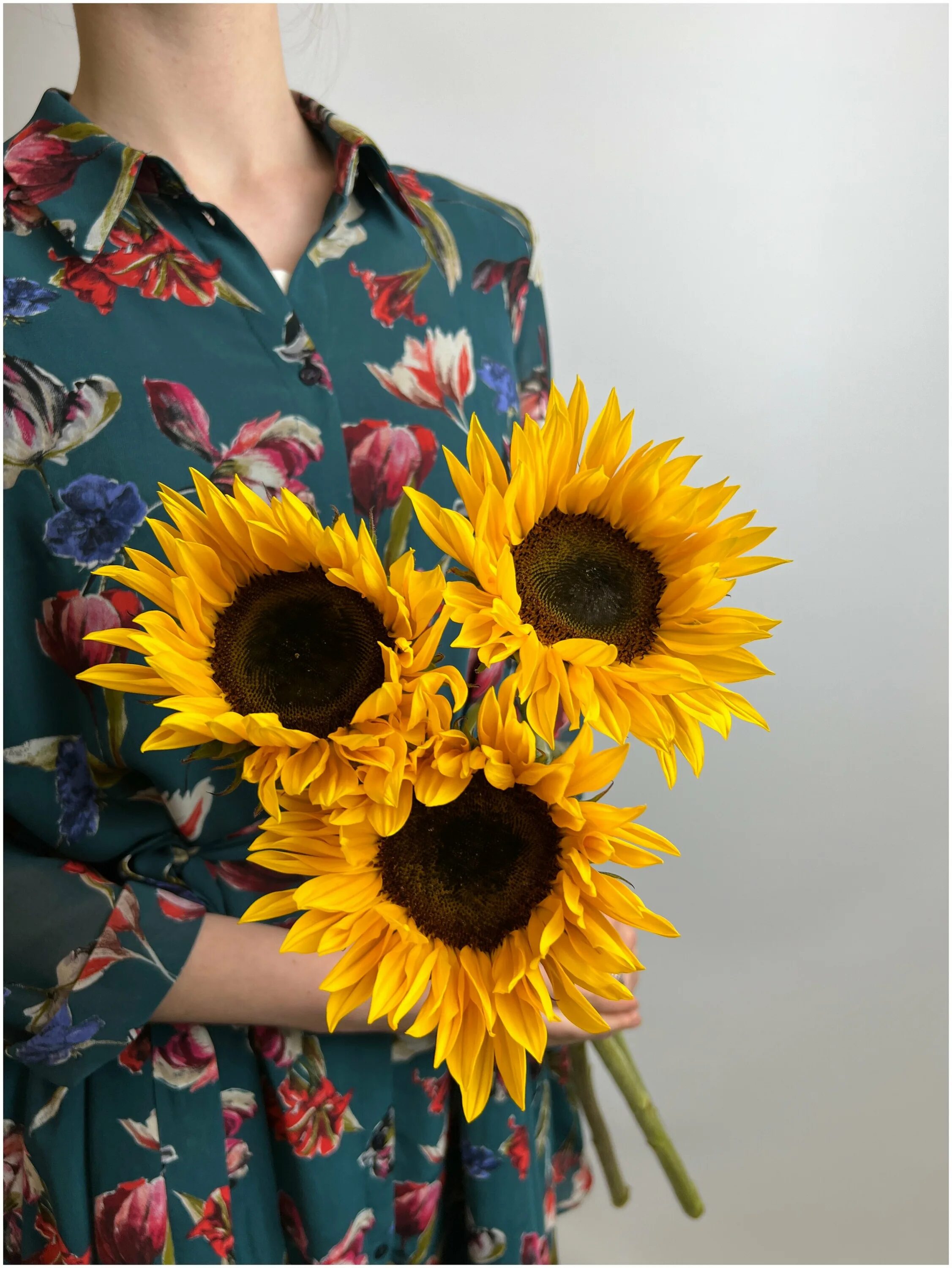 подсолнух на камне. подсолнух отзывы. подсолнух сингента неома. подсолнух отзывы. подсолнечник санспот карликовый.