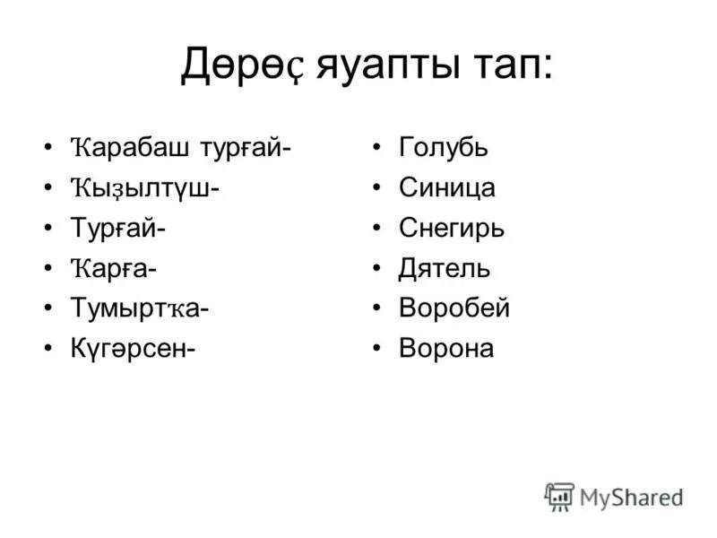 Тышта кар яуа текст. Тышта кар яуа текст песни. Көзге табигать презентация. Тышта кар яуа слова. Концерт тышта ауылда.