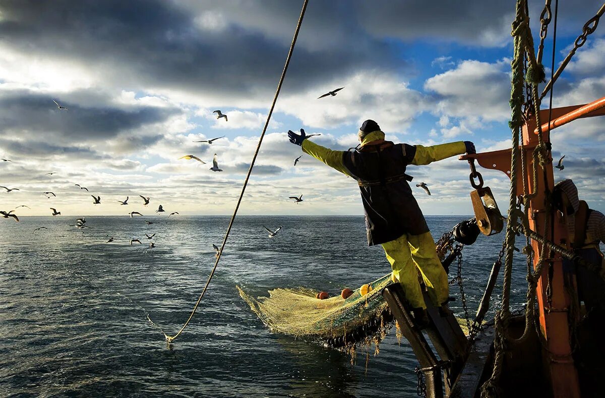Рыбный промысел на Аляске. Рыбохозяйственная отрасль. Рыбалка на Камчатке на лодке. Commercial Fisherman:.