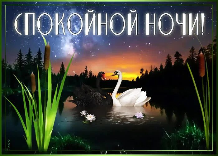 Доброй ночи природа пожелание. Доброй ночи. Доброй ночи картинки красивые. Пожелания доброй ночи. Доброго вечера и спокойной ночи.