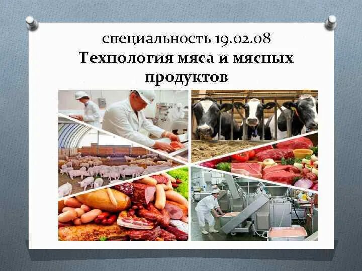 Блюда из мяса и птицы