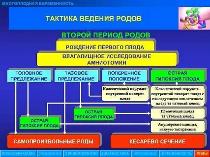 Многоплодная беременность тактика