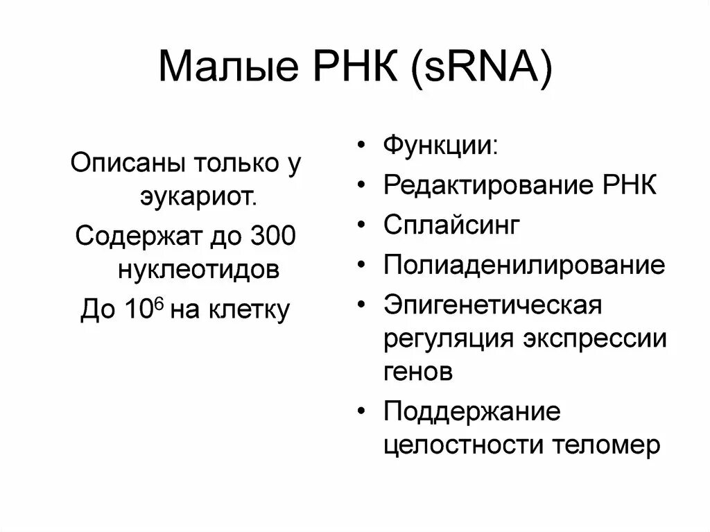 Редактирование РНК. Функции РНК.