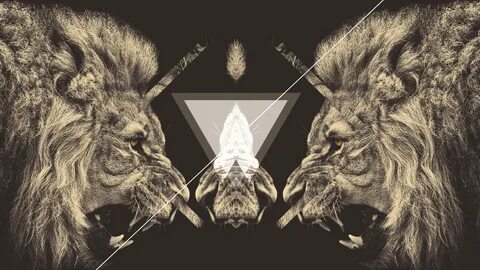 hipster wallpapers lion: 2 тыс изображений найдено в Яндекс Картинках