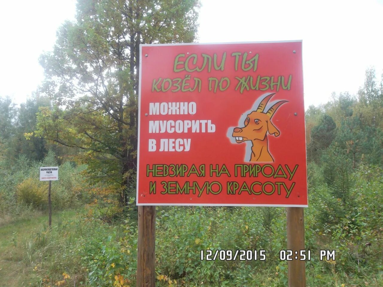 Ты козел. Козлы по жизни. козёл по жизни. если ты козел по жизни.