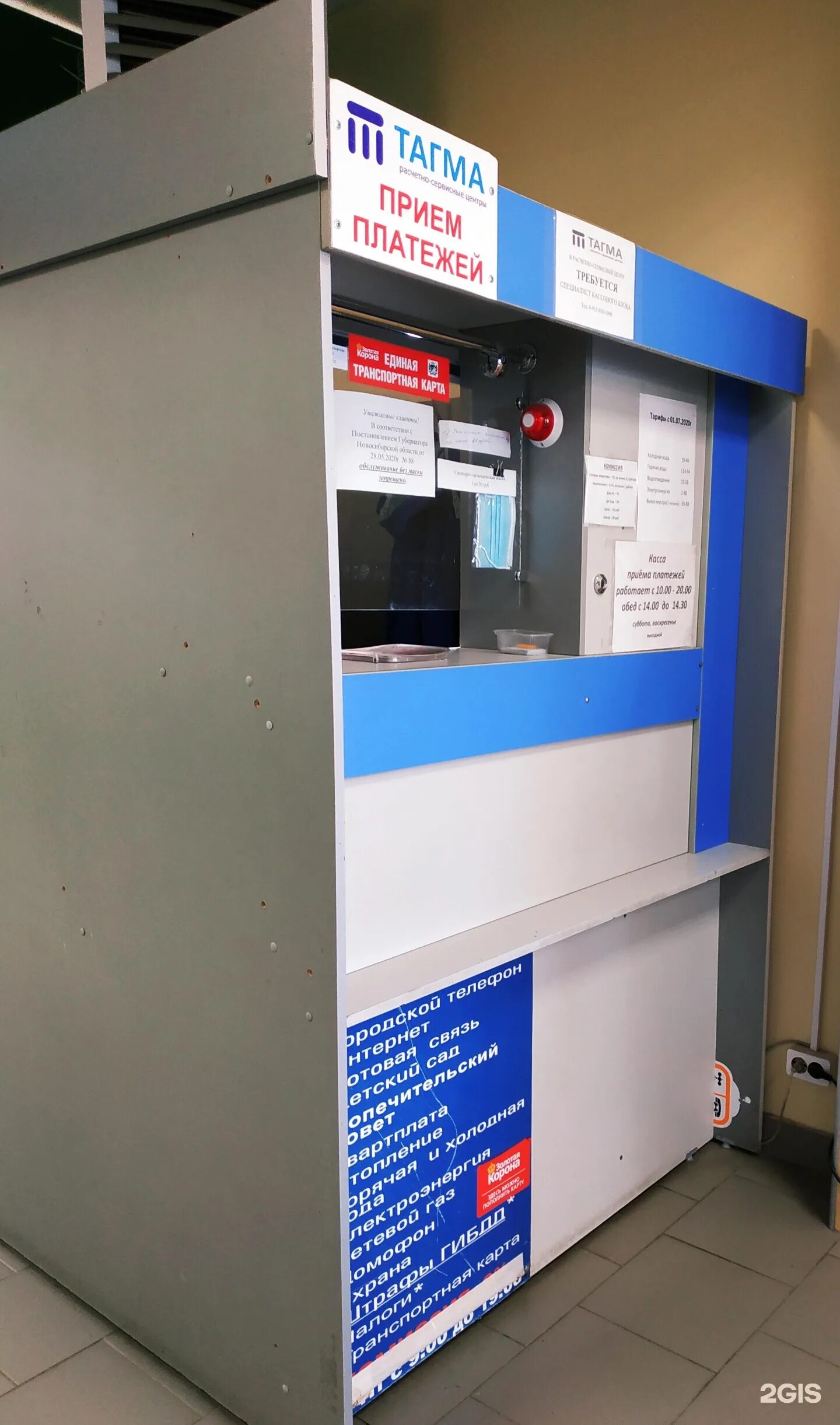 Схема сегментации хелицеровых. Спонтанный горизонтальный нистагм. Тагми. Тагма (биология). Тагми.