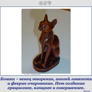 Слова относящиеся к кошкам