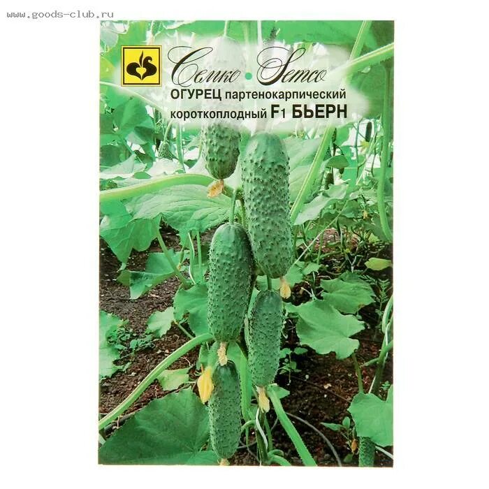Огурцы бьерн уход. Сорт огурцов бьерн. Семена огурца бьерн f1. Огурец бьерн f1. Семена огурца бьерн f1.