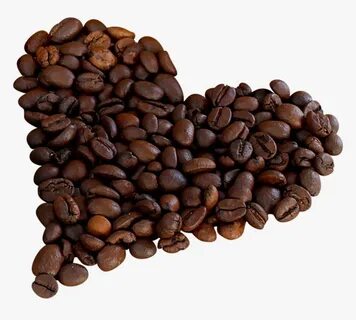Coffee bean