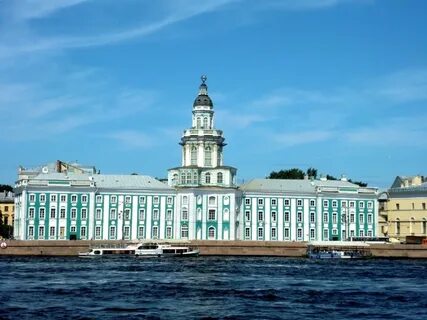 Музей кунсткамера история