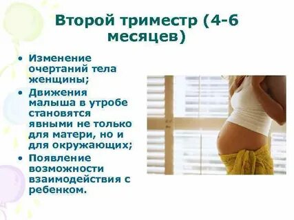 1 триместр что происходит