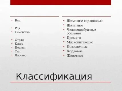 Систематика шимпанзе
