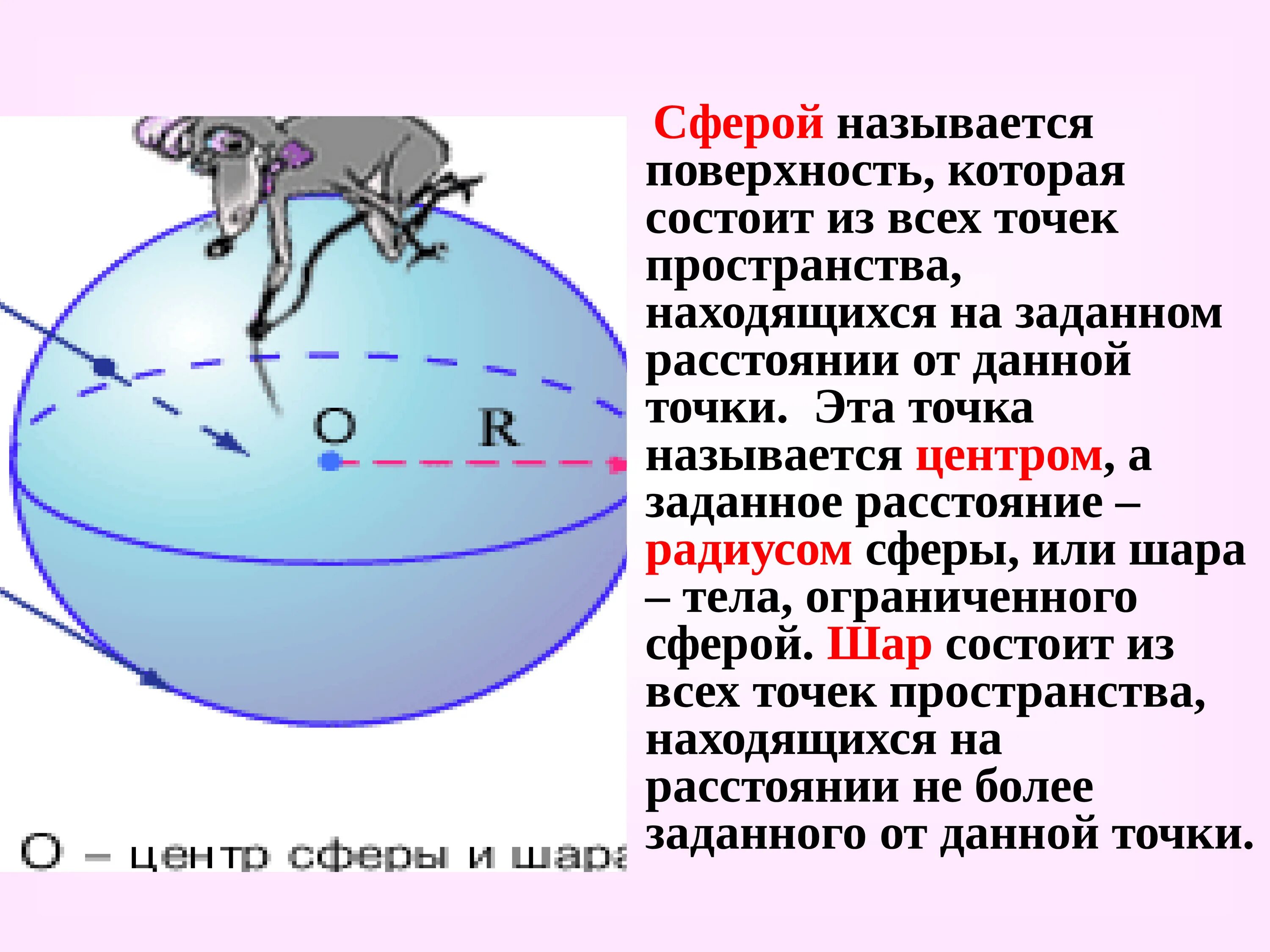 Сфера и шар. Шар состоит из. Понятие сферы. Сферой называется поверхность.