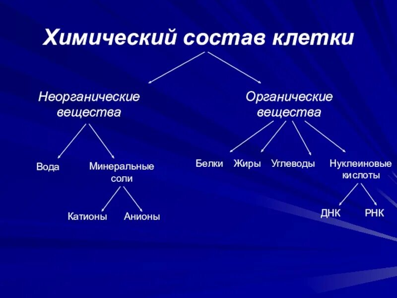 Кроме воды к неорганическим веществам относятся. Химический состав клетки органические соединения. Схема по биологии химический состав клетки. Химический состав клетки органические вещества. Химический состав клетки неорганические.