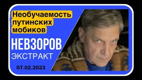 Невзоров экстракт январь 2024