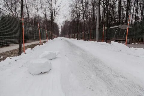 Лыжная трасса сокольники