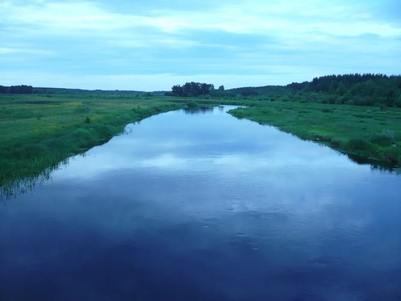 Хвойная новгородская обл. Река Песь Хвойная. Река Песь Новгородская область. Река Песь Сазоново. Хвойная Новгородская область.