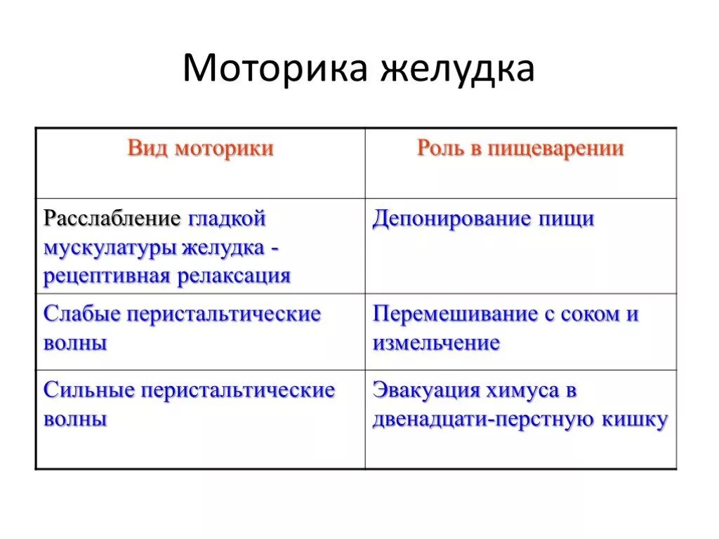 Типы моторики