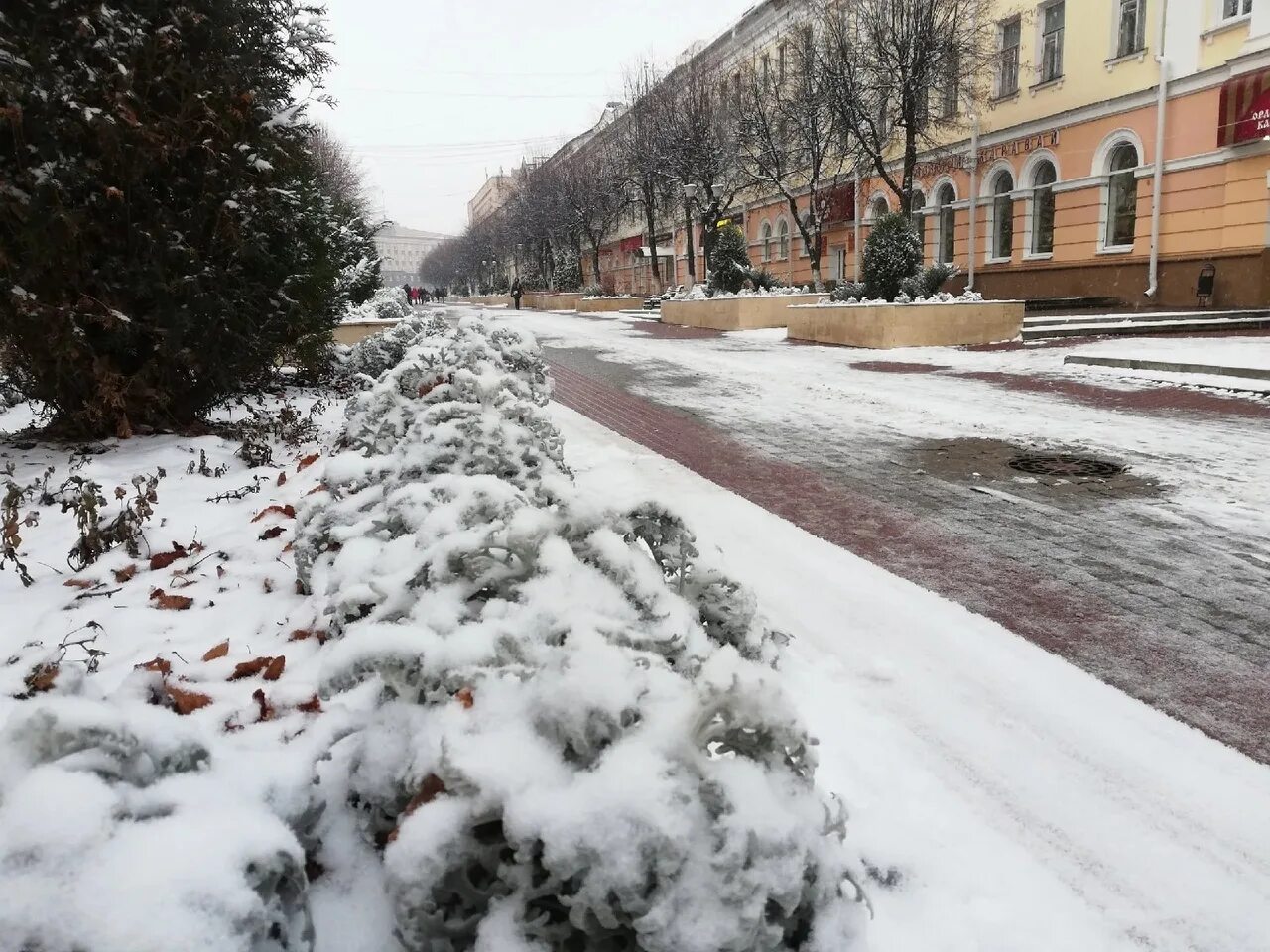 Снегопад. Снег в России. Ноябрь снег. Снег фото. Погода в орле февраль