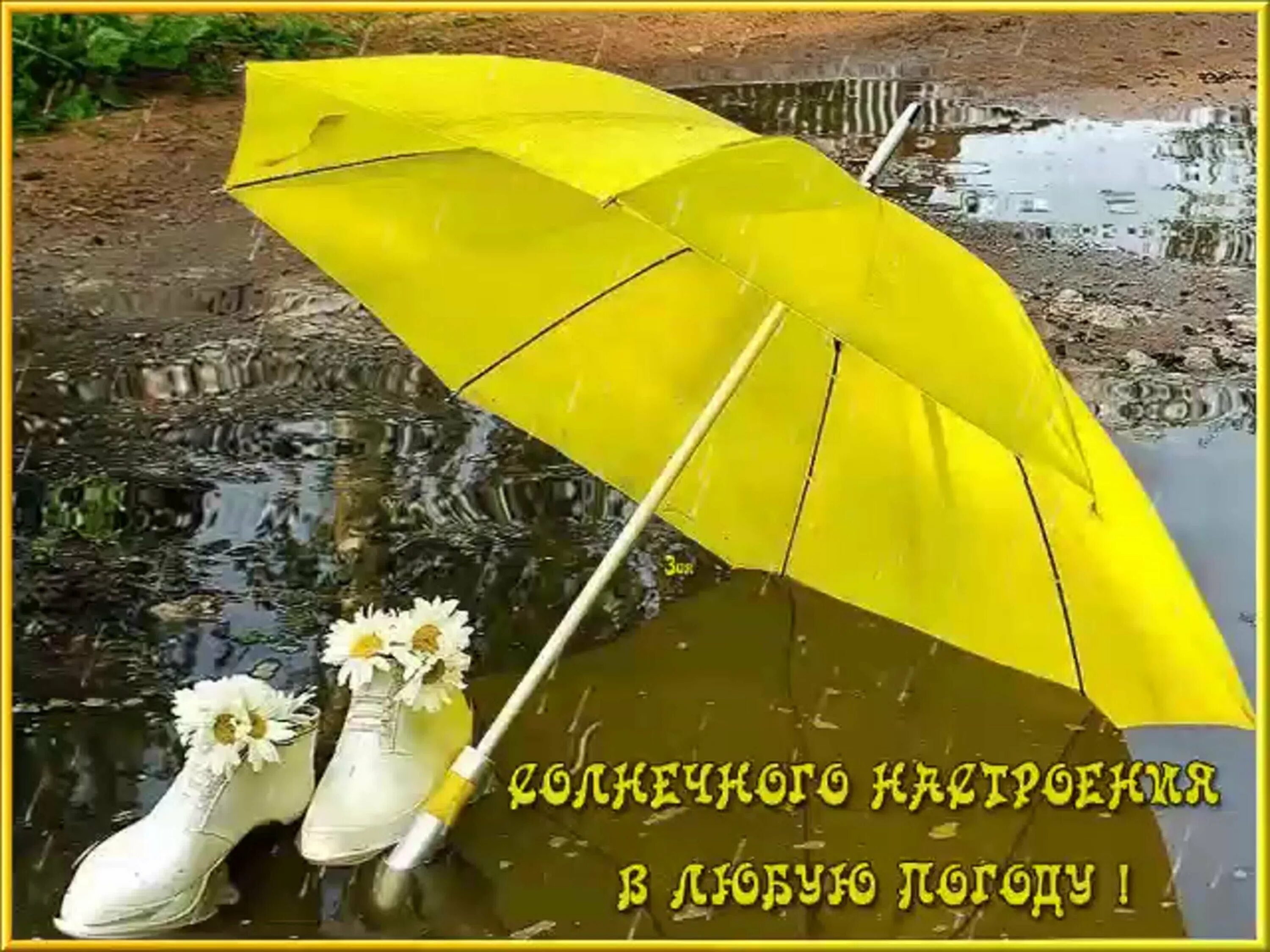 Доброе утро хорошего дня хорошей погоды. Хорошего настроения в дождливую погоду. Прекрасного настроения в дождливую погоду. Доброе утро хорошего настроения в любую погоду. Доброе утро воюбкю погоду.