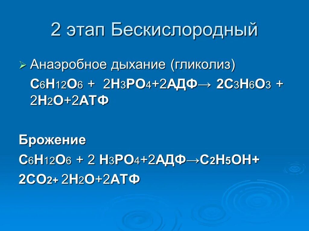 АДФ+h3po4+o2. C3h6o2. АТФ+h2o. H2+ o2.