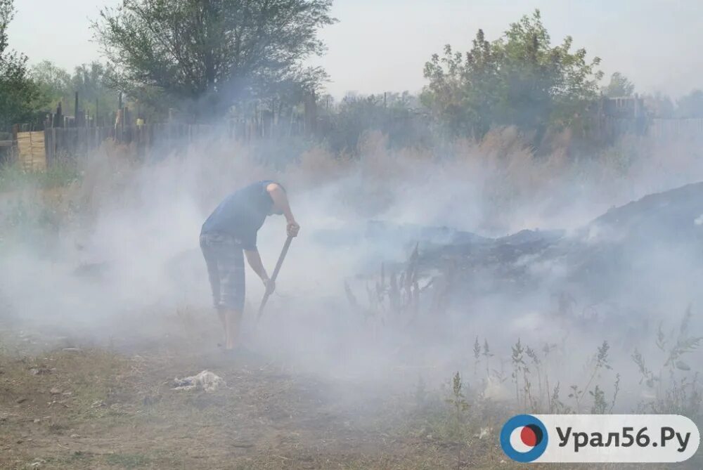 Пожар в питомник Новоорск.