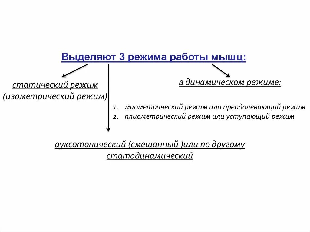 Режимы работы мышц. Миометрический режим работы мышц. функциональные режимы работы мышц.. статический режим работы мышц.