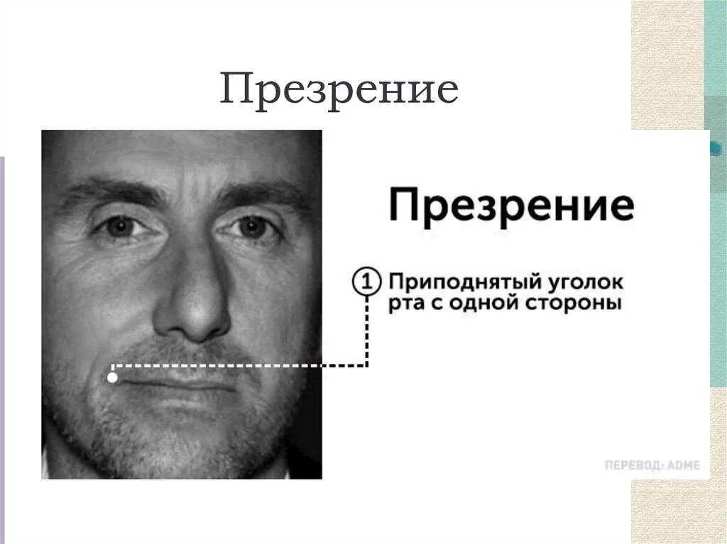 Чувство презрения. Помощь человеку это определение. Что такое призрение. Презрение эмоция. Понятие слова призрение.
