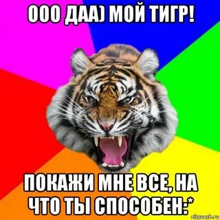 Мой тигр отзывы