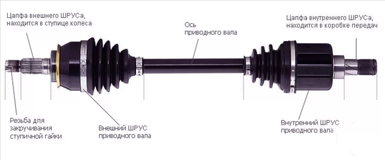 Шрус переднего привода наружный. Drive shaft приводной вал. Шрус наружный Ford Transit 2.2 диаметр вала 31. Вал привода шрус. Шрус наружный и внутренний Солярис схема.