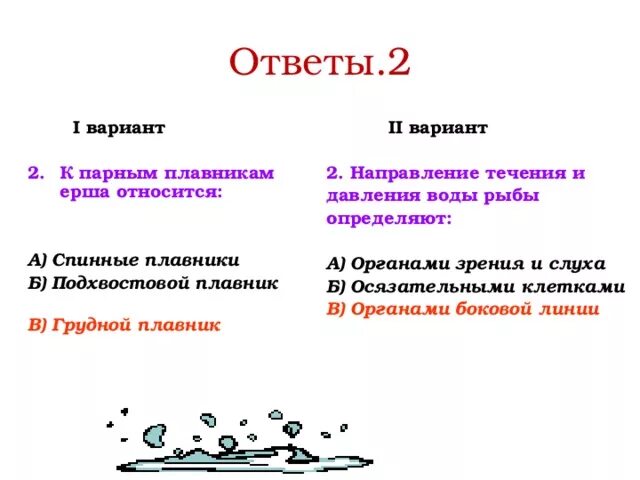 Направление течения воды рыбы определяют