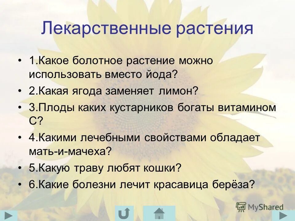 Охрана лекарственных растений. Охрана растений презентация. Мероприятия по охране растений. Какое растение используют вместо йода. Какими полезными свойствами обладают