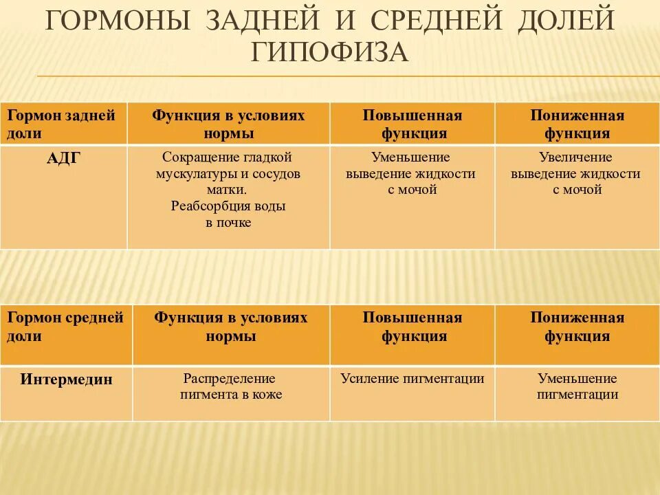 Какие гормоны задней доли гипофиза. Гормоны средней доли гипофиза. Гормоны средней и задней доли гипофиза. Горомнызадней доли гипофиза. Гормоны прердней доли гипофиза.